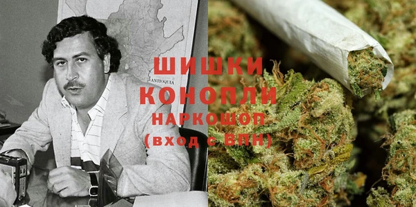 молекула духа Арсеньев