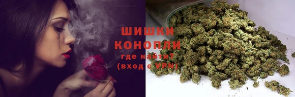 молекула духа Арсеньев