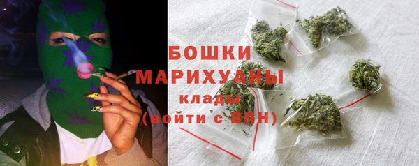 молекула духа Арсеньев