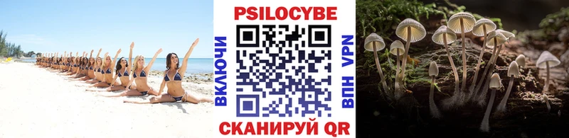 Псилоцибиновые грибы мицелий  Омутнинск 