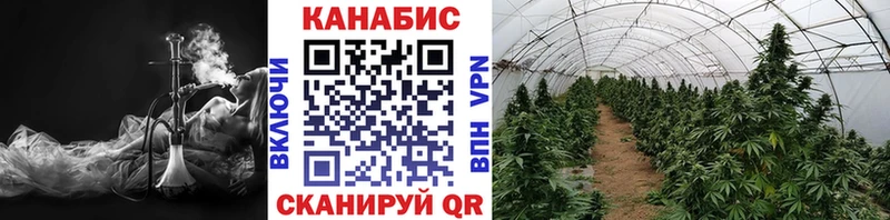 Бошки марихуана Ganja  даркнет сайт  МЕГА ONION  Омутнинск 